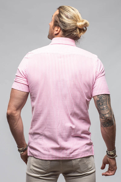 Bookers Pique Polo In Pink Stripe | Mens - Shirts - Polos | Giannetto Portofino